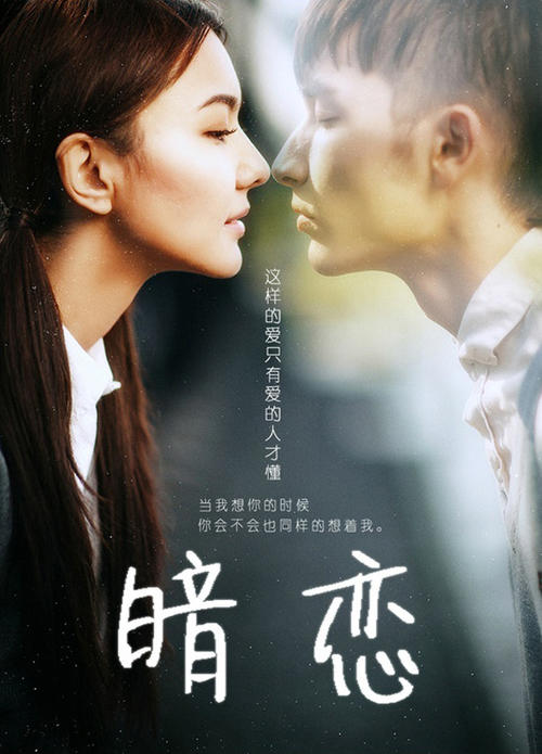 仿制假有无违法犯罪记录公证书